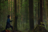 vlcsnap-2015-11-02-01h06m46s790.png