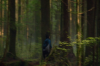 vlcsnap-2015-11-02-01h06m47s293.png