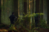 vlcsnap-2015-11-02-01h06m47s781.png