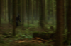 vlcsnap-2015-11-02-01h06m48s835.png