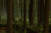 vlcsnap-2015-11-02-01h06m49s395.png