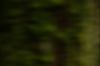 vlcsnap-2015-11-02-01h06m50s428.png