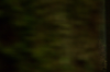 vlcsnap-2015-11-02-01h06m52s435.png