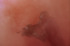 vlcsnap-2015-11-02-01h06m59s288.png