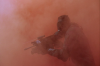 vlcsnap-2015-11-02-01h06m59s826.png