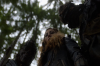 vlcsnap-2015-11-02-01h07m00s253.png