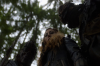 vlcsnap-2015-11-02-01h07m00s668.png