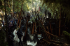 vlcsnap-2015-11-02-01h07m03s922.png