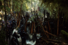 vlcsnap-2015-11-02-01h07m04s346.png