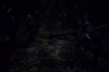 vlcsnap-2015-11-02-01h07m10s325.png