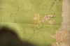 vlcsnap-2015-11-02-01h07m17s221.png