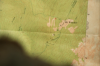 vlcsnap-2015-11-02-01h07m17s675.png