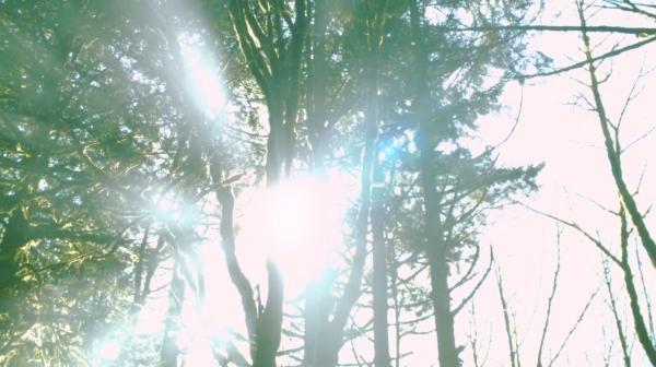 The 100 Season One Episode One Pilot Captures-2153
