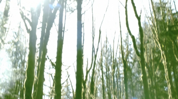 The 100 Season One Episode One Pilot Captures-2110
