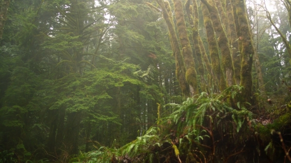 The 100 Season One Episode One Pilot Captures-2076
