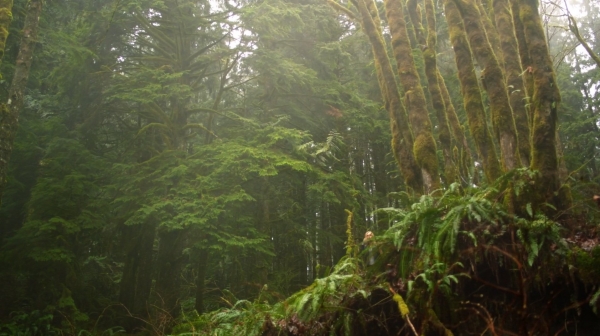 The 100 Season One Episode One Pilot Captures-2074
