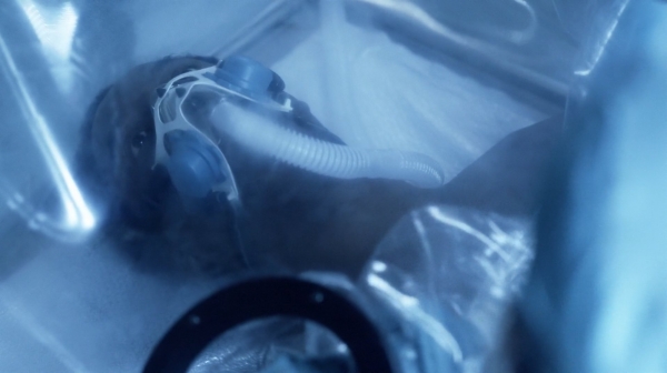 The 100 Season One Episode One Pilot Captures-1540
