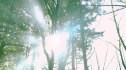 the100_101_0485.jpg