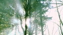 the100_101_0486.jpg