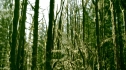 the100_101_0527.jpg