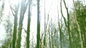 the100_101_0528.jpg