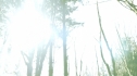 the100_101_0529.jpg