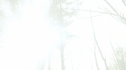 the100_101_0530.jpg