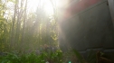 the100_101_0541.jpg