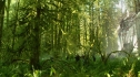 the100_101_0545.jpg
