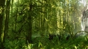the100_101_0547.jpg