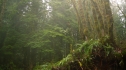 the100_101_0563.jpg