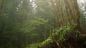 the100_101_0564.jpg