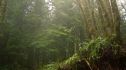 the100_101_0565.jpg