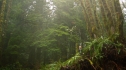 the100_101_0566.jpg