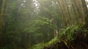 the100_101_0567.jpg