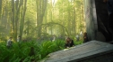 the100_101_0690.jpg