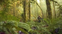 the100_101_0990.jpg