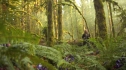 the100_101_0991.jpg
