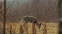 the100_101_1063.jpg