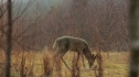 the100_101_1065.jpg