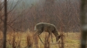 the100_101_1066.jpg