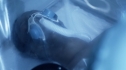 the100_101_1105.jpg